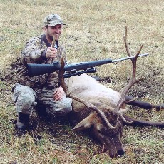 Elk Bull harvest